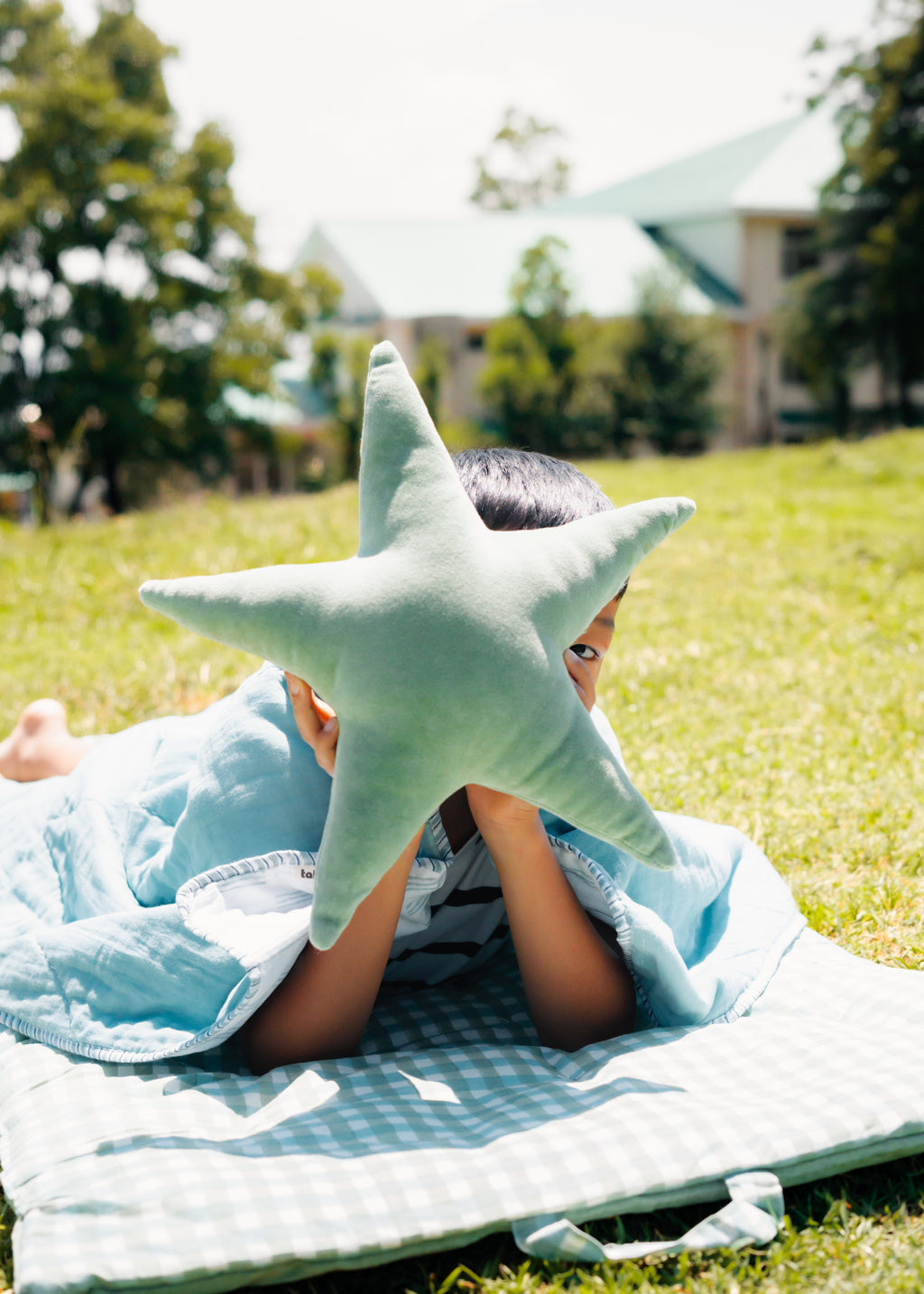 Sitara Pillow Sage Green